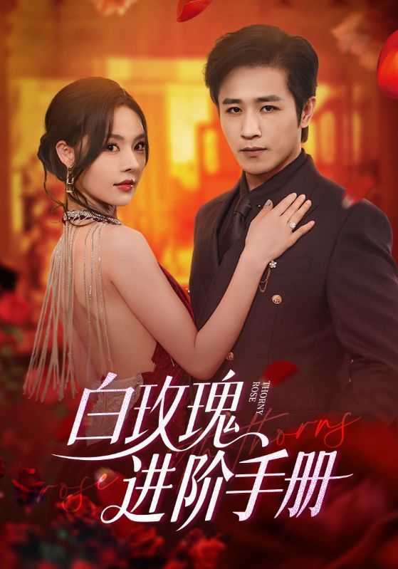 白玫瑰進(jìn)階手冊(cè)