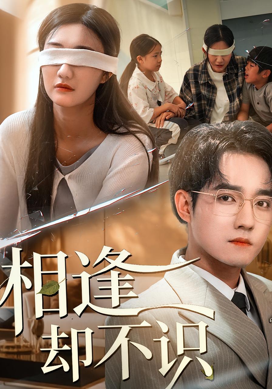 相逢卻不識(全集)